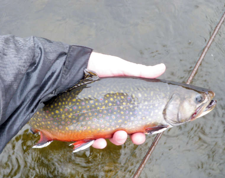 Fly Fishing in Maine