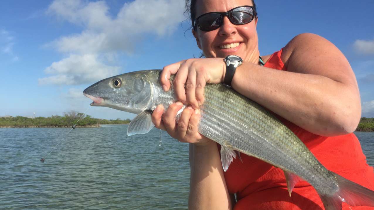 Kennebec River Fishing Report