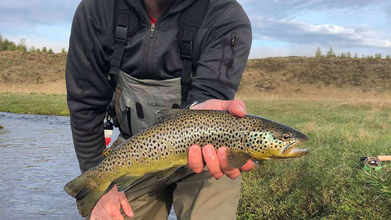 KRA Guide Greg Caruso, tearing it up in Iceland